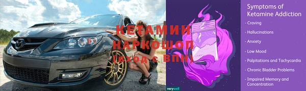 мяу мяу мука Арсеньев