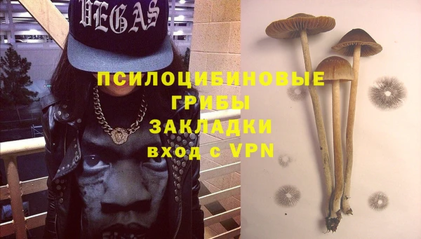 мяу мяу мука Арсеньев