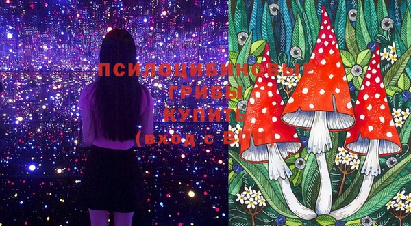 PSILOCYBIN Вяземский
