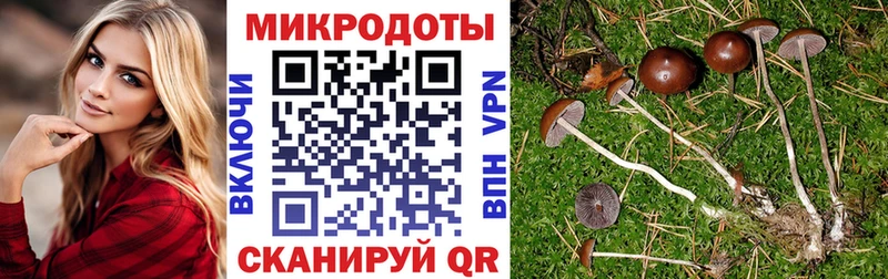Псилоцибиновые грибы ЛСД  Белоярский 